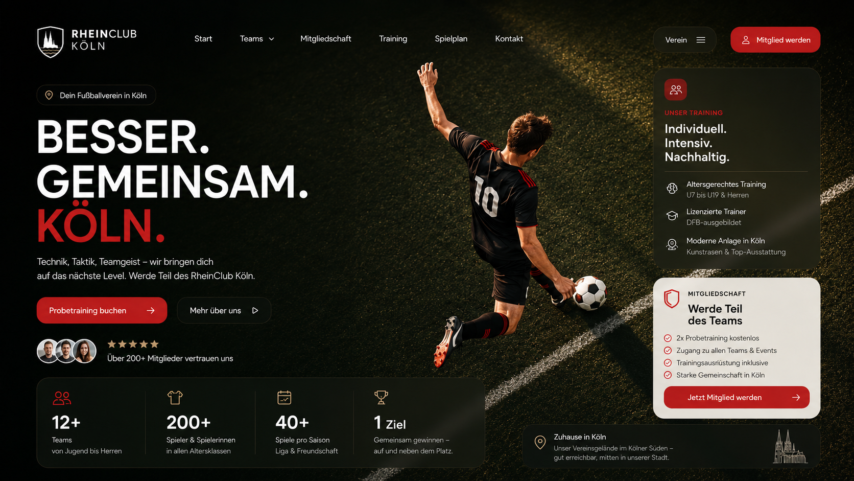 Premium website preview 16