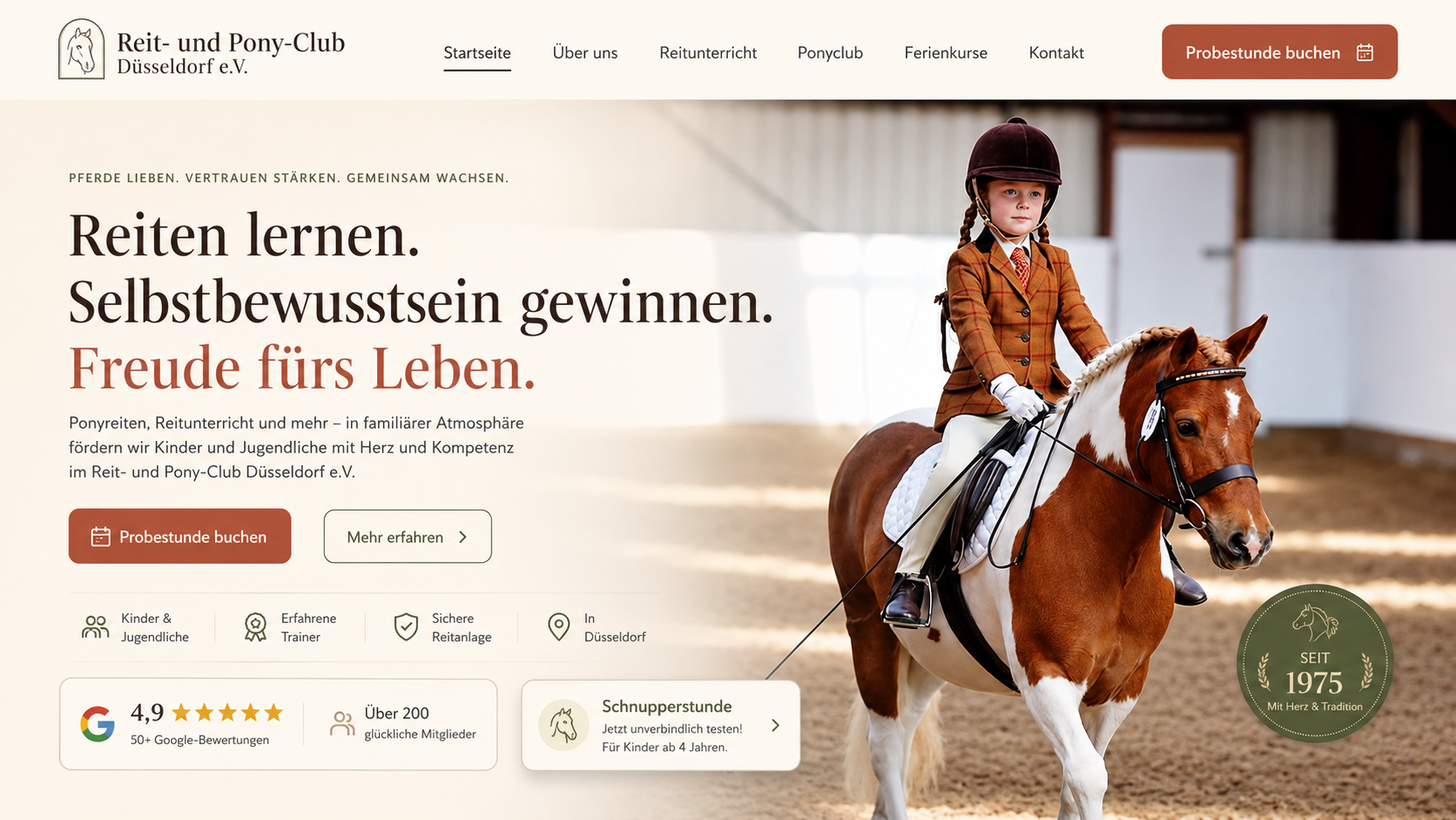 Premium website preview 19